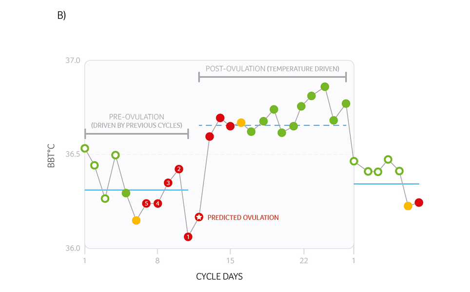 Fertility Tracker Method_B-EN.png